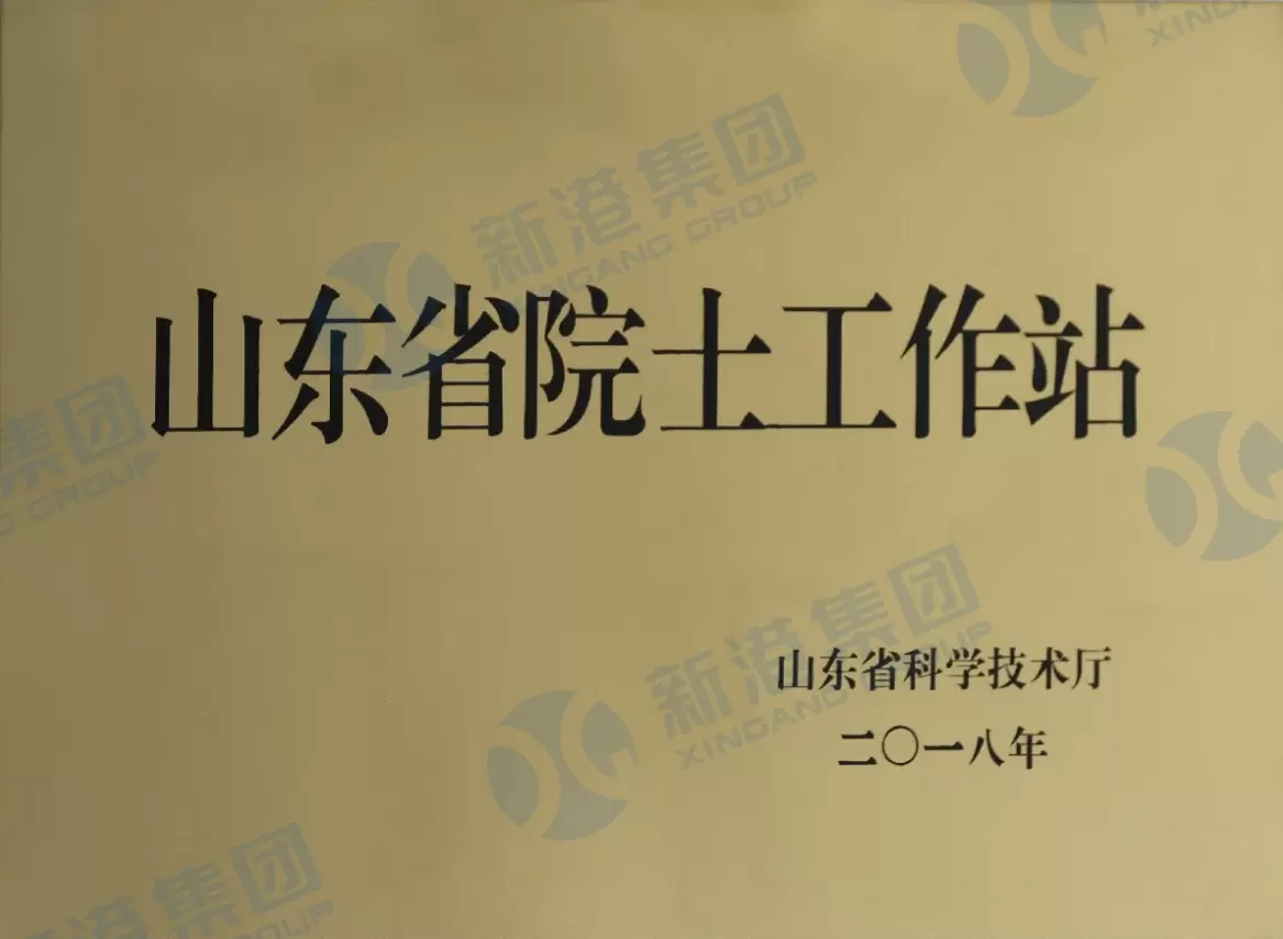 Shandong Provincial Academician Workstation