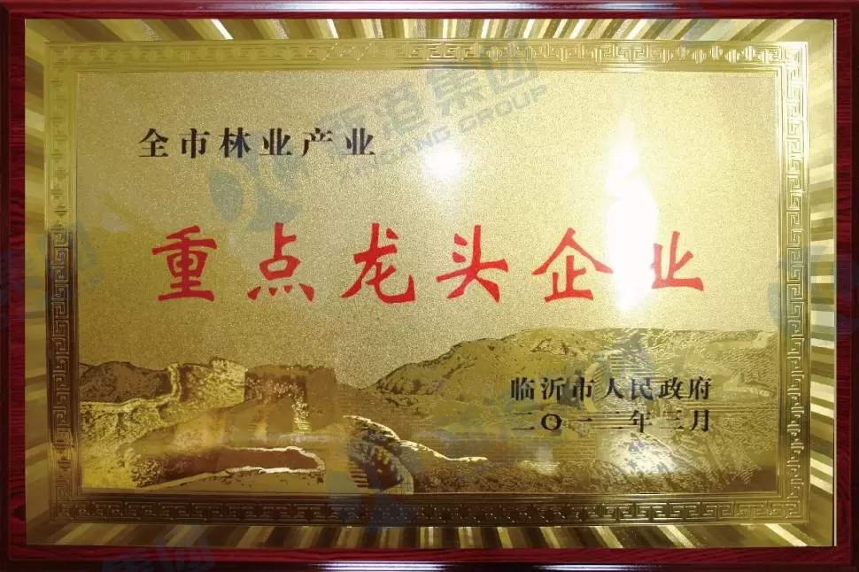 Key leading enterprises