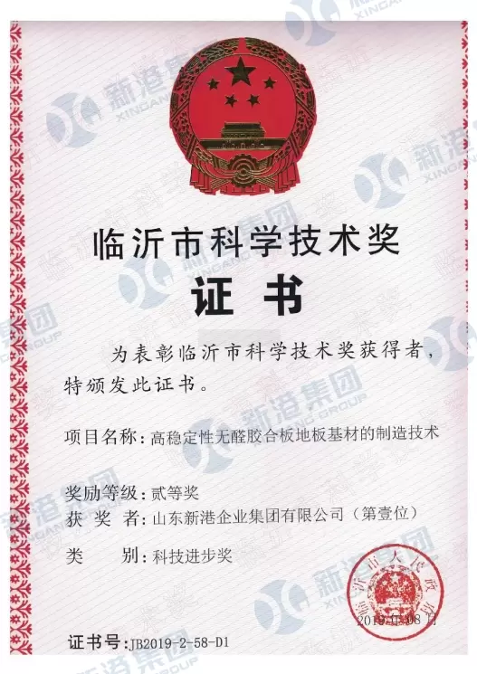 Science and Technology Award Certificate