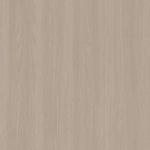 PBM01 Elegant Elm
