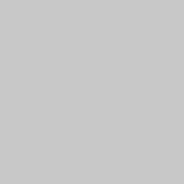C202-Light Cloud Gray