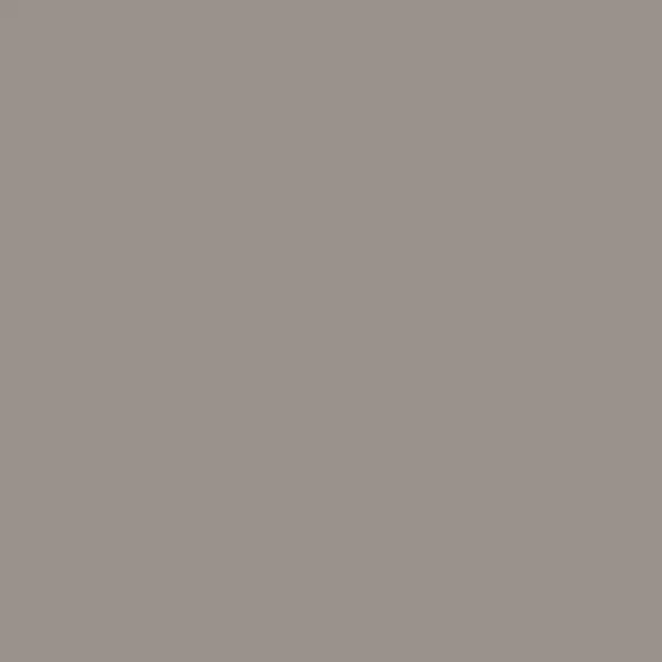 C204-Frost Gray