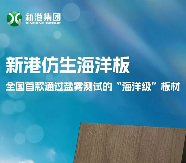 Xingang Biomimetic Marine Plywood Passes Salt Spray Test
