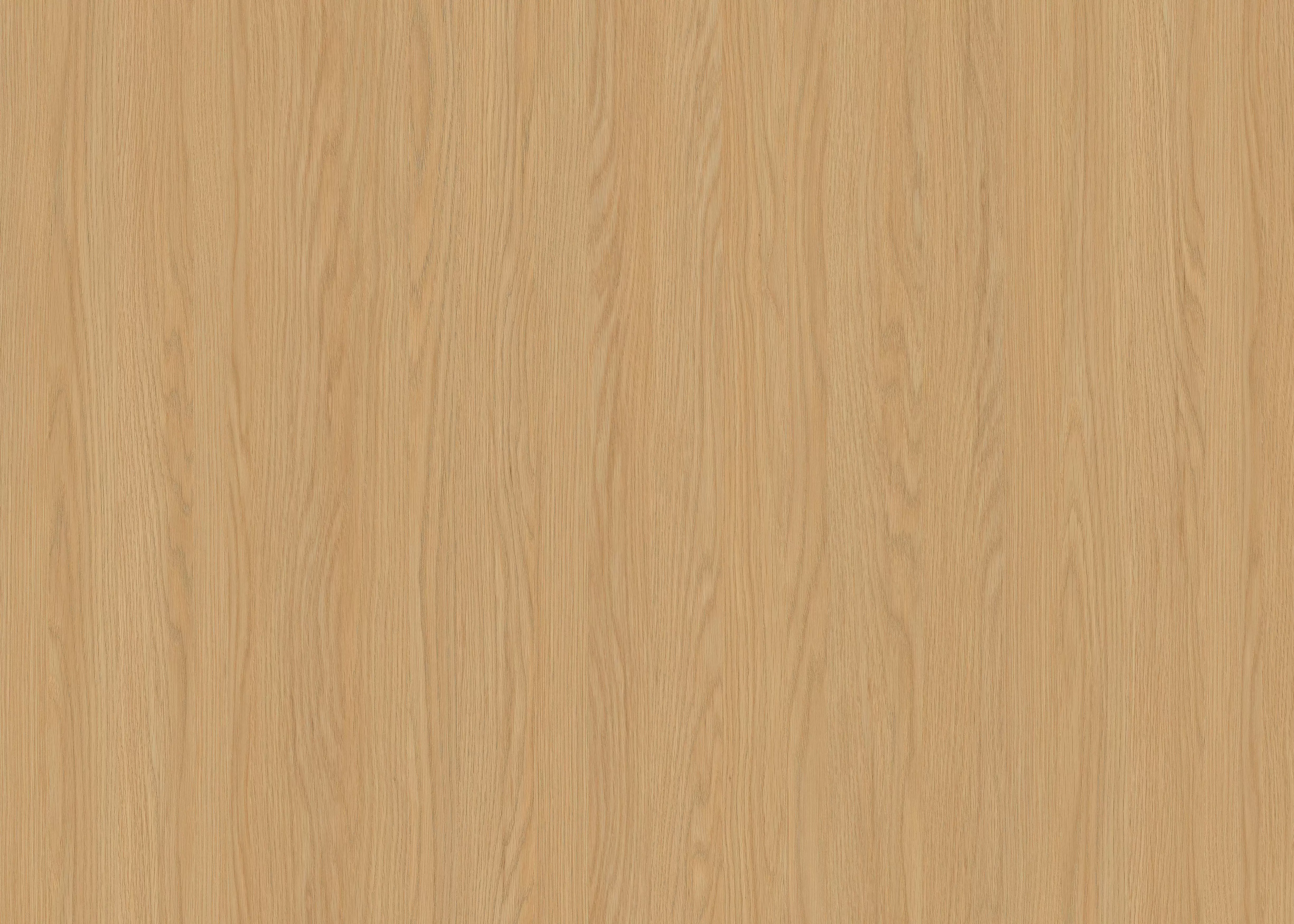 TB2518 Noah Oak Grain-3