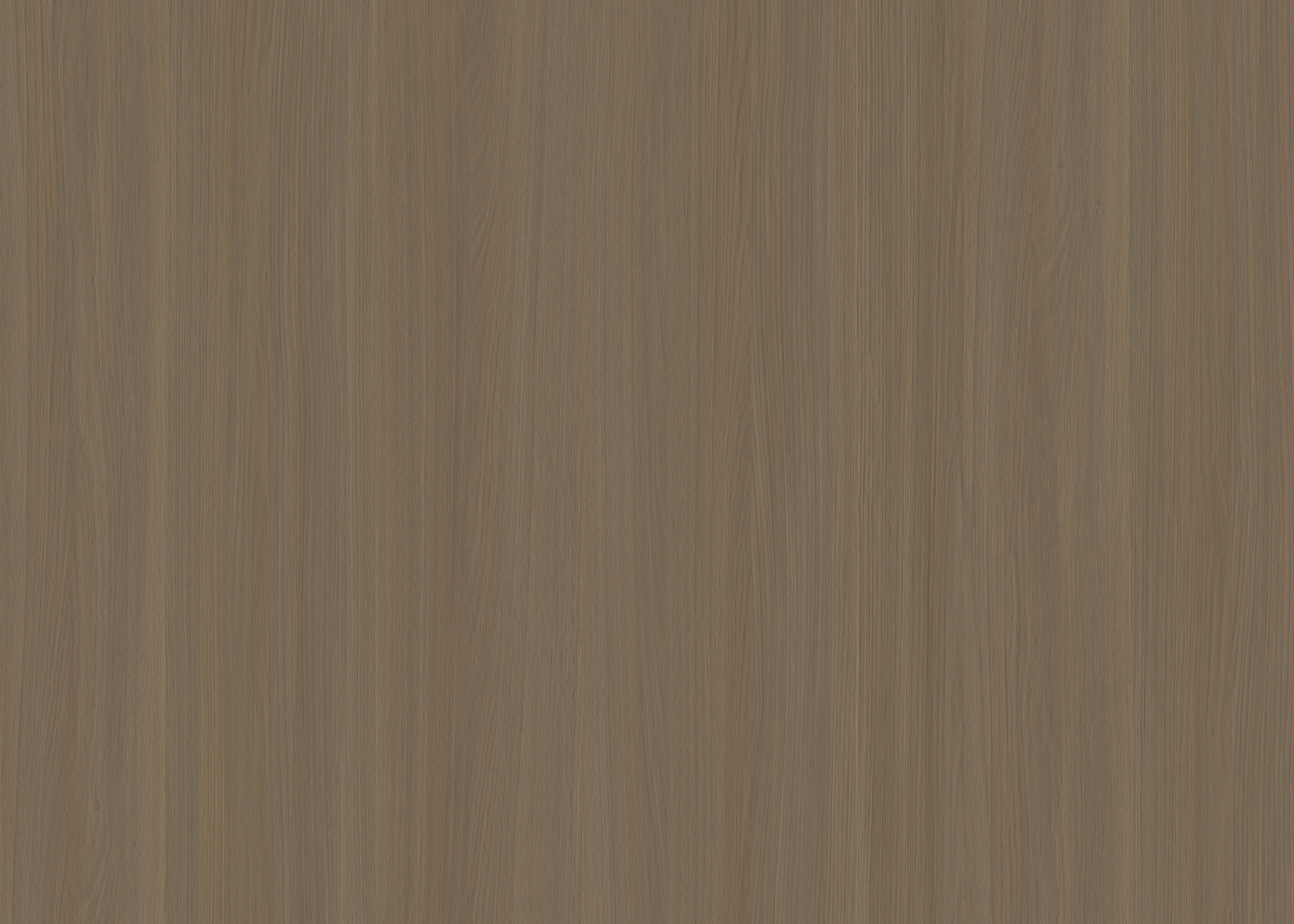 TB2533 Euramerican Style Oak Grain-1