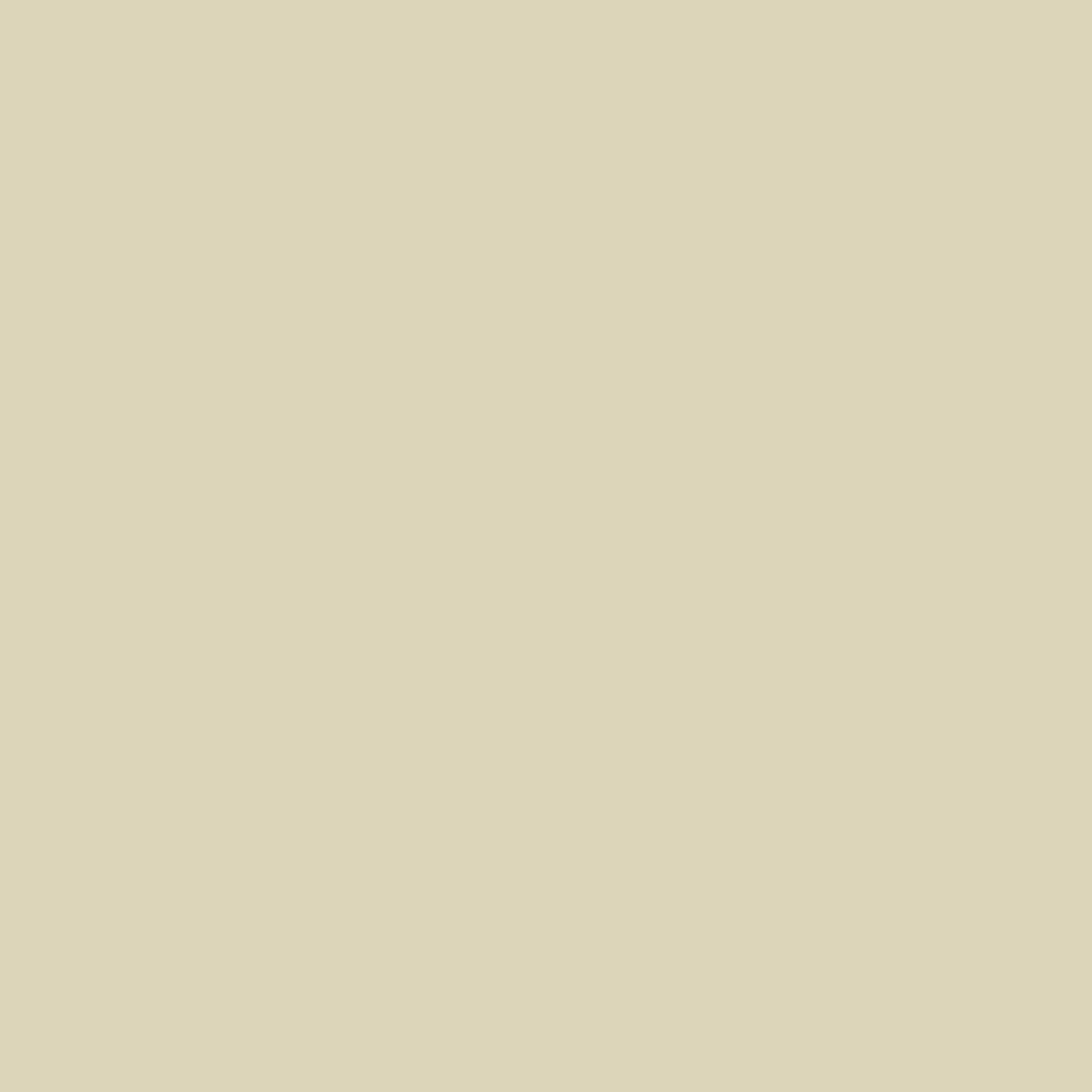 CH2505MX04 Espresso Brown