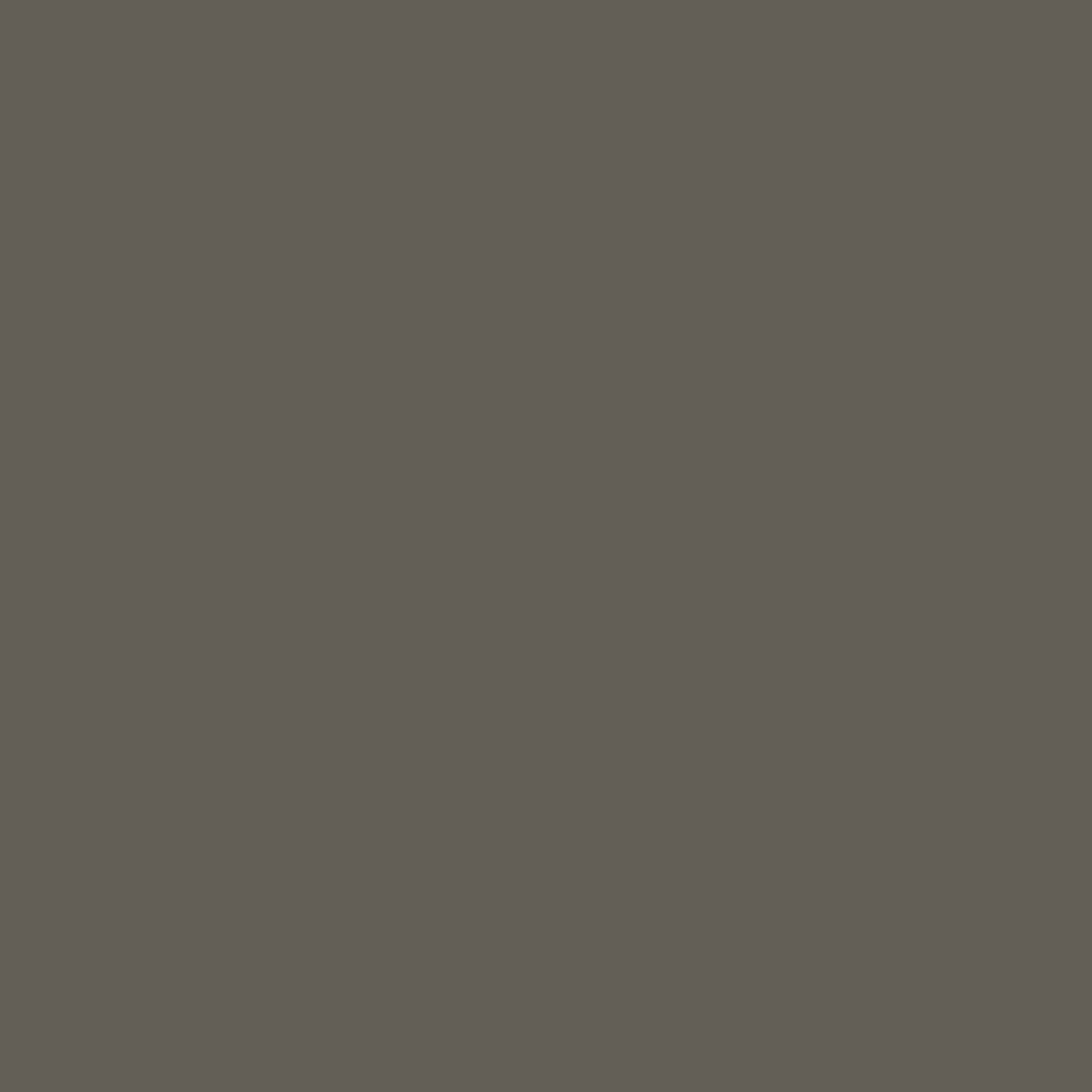 CH2507MX07 Amber Brown