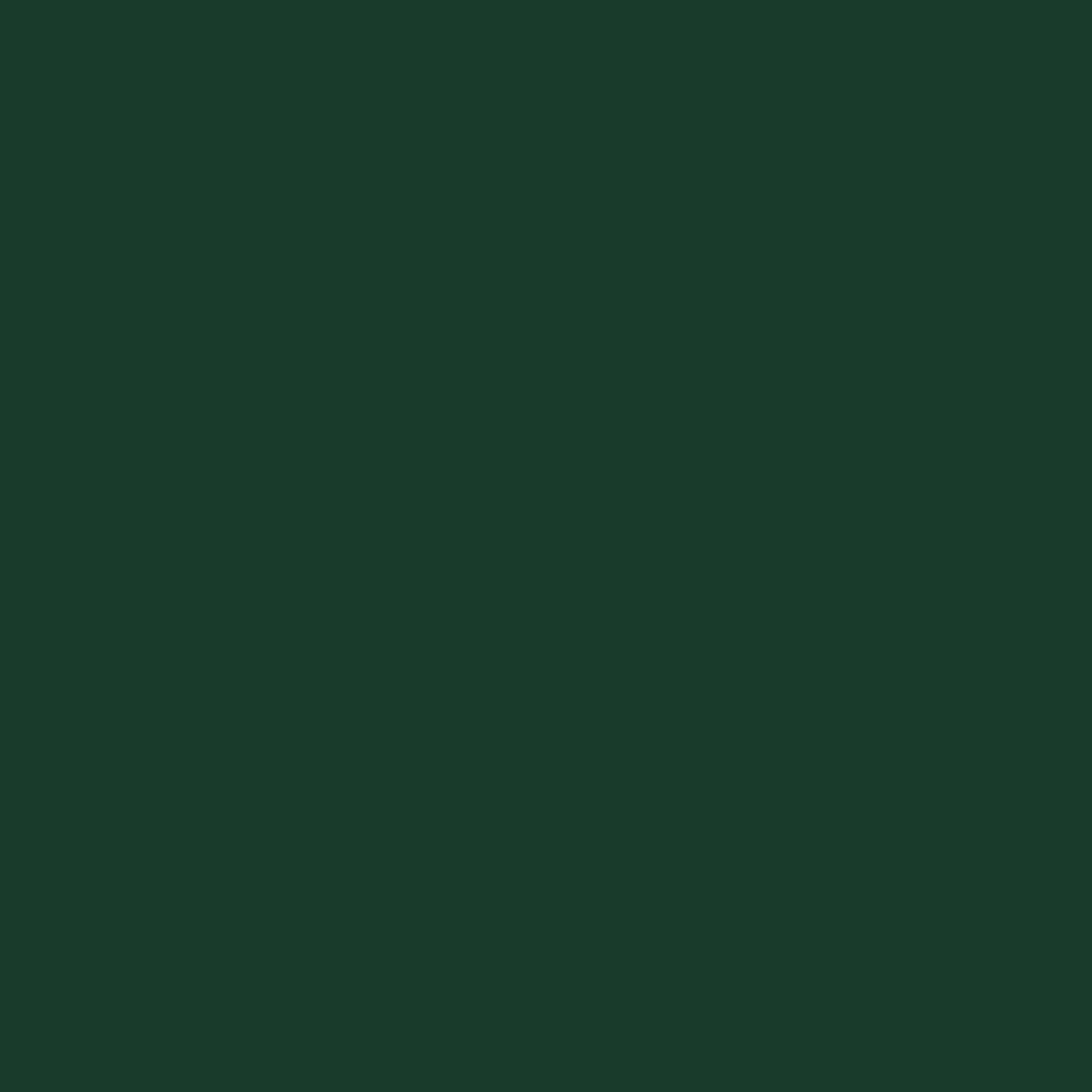 CH2511MX10 Imperial Jade Green